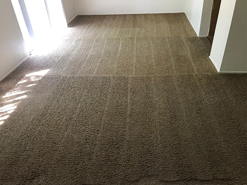 1 Carpet Cleaning Service (3 Rooms at 89) in Tucson, AZ with over