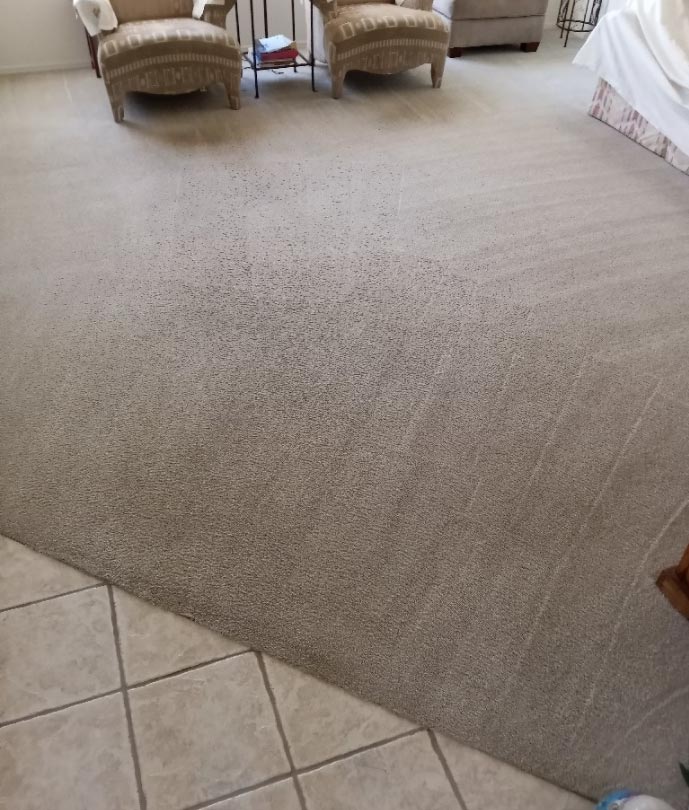 Carpet Cleaning Service Tucson, AZ . 3 Rooms for only 79