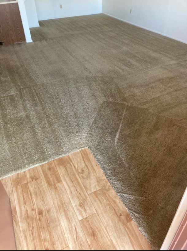 Carpet Cleaning Service Tucson, AZ . 3 Rooms for only 79