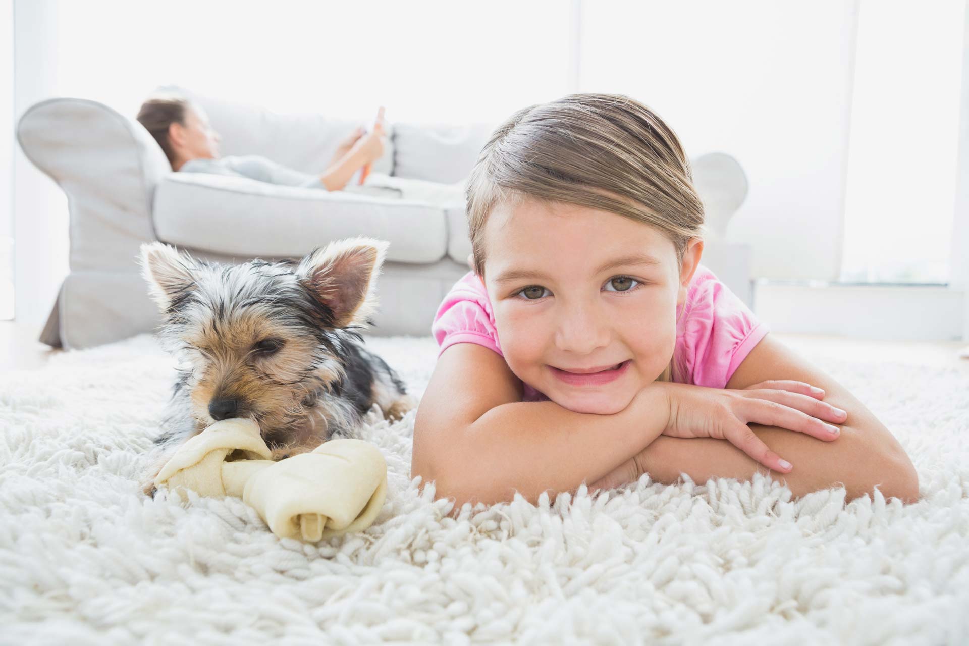 Carpet 10 Best Practices - Steam Smart Pro