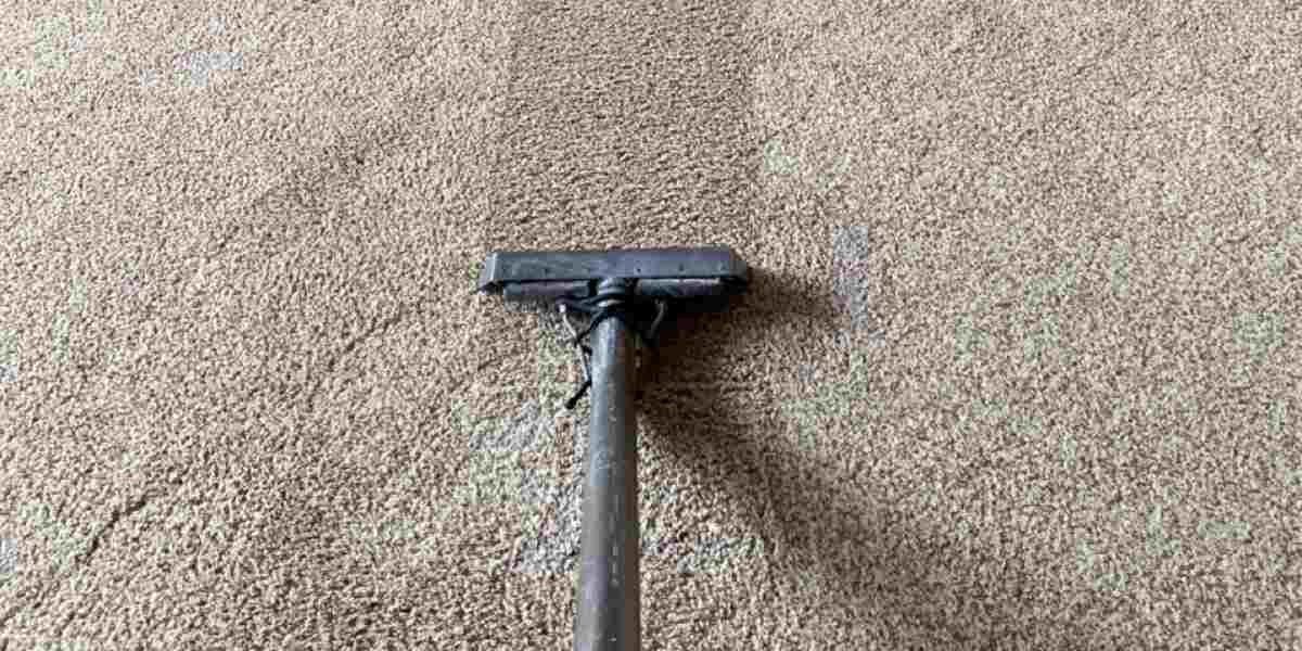 Carpet Cleaning Expert in Tucson, AZ