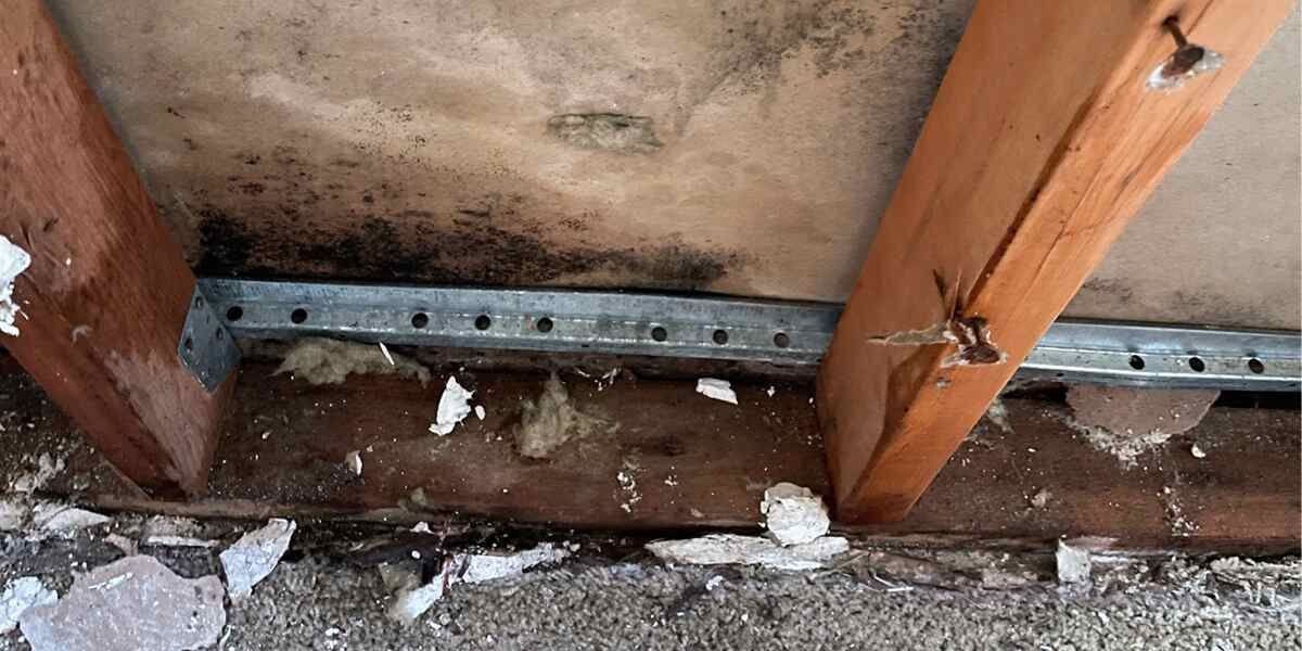 Water damage from Tucson monsoon flood, prior to repair.