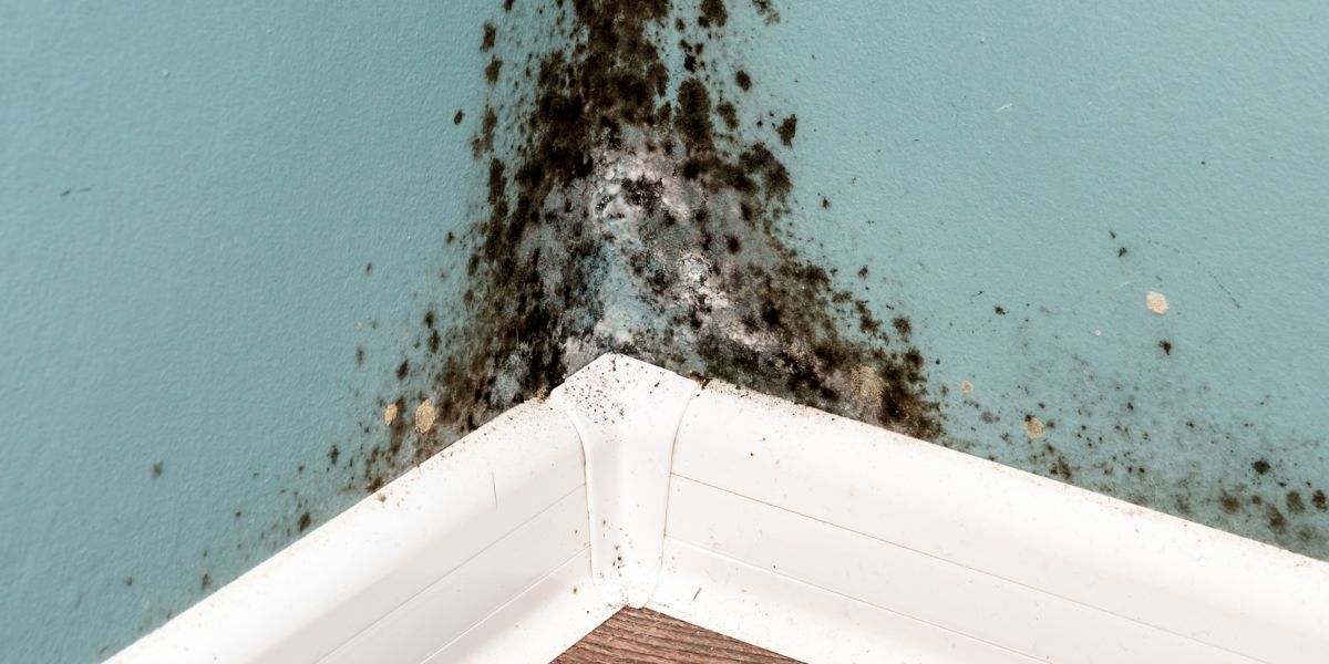 Water Damage Restoration in Tucson, AZ