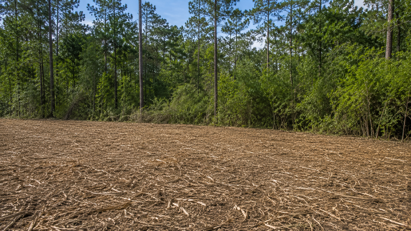 land clearing without hauling debris