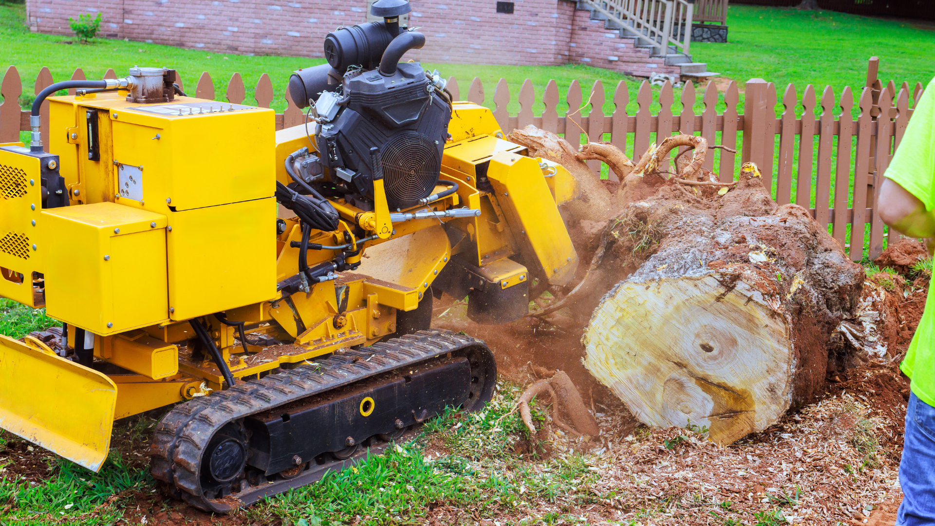 Yellow stump grinder removing tree stump in a yard with a wooden fence.