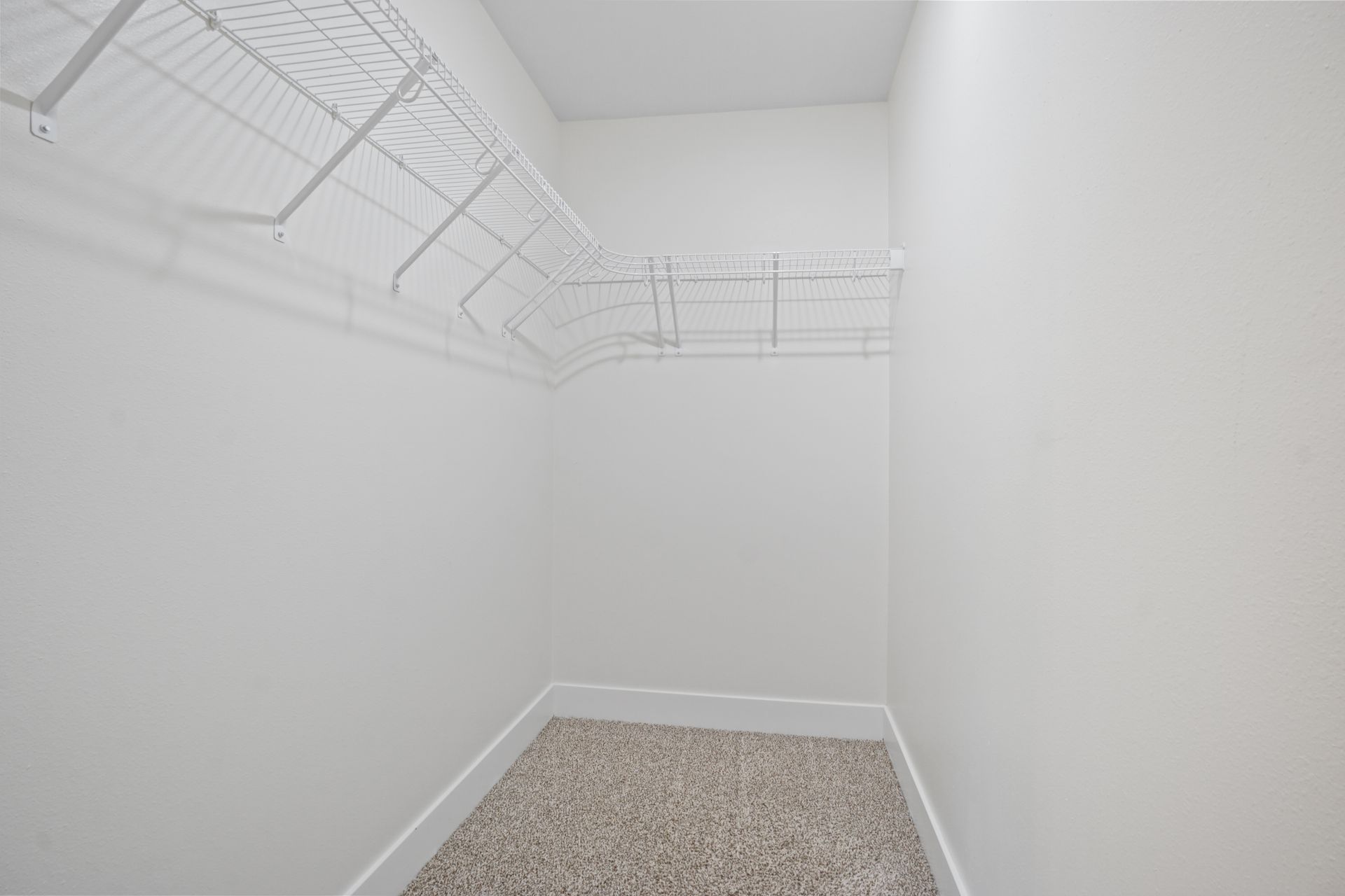 Empty white walk-in closet with wire shelving and carpet flooring