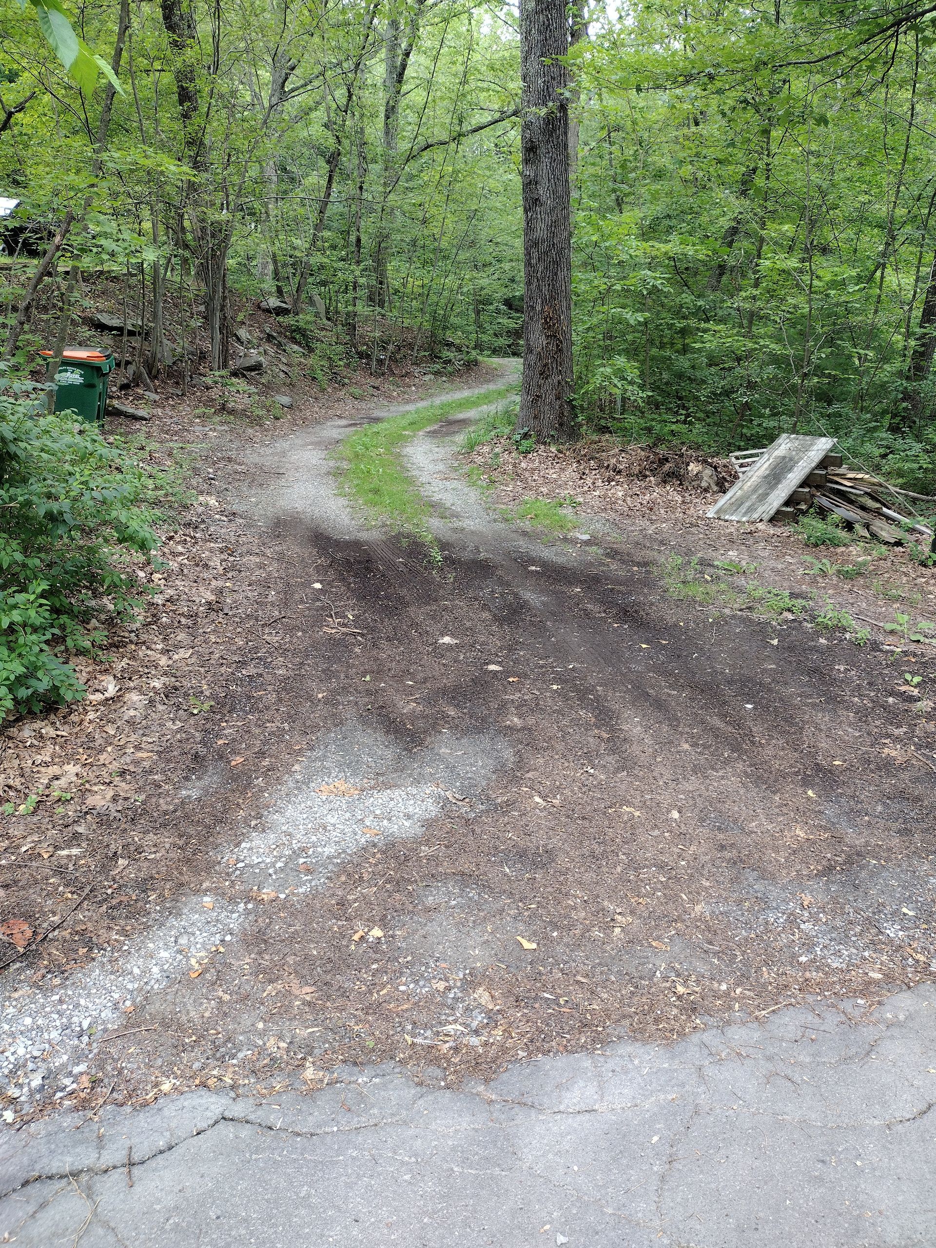 Gravel driveway curves into a wooded area, surrounded by trees and fallen leaves.