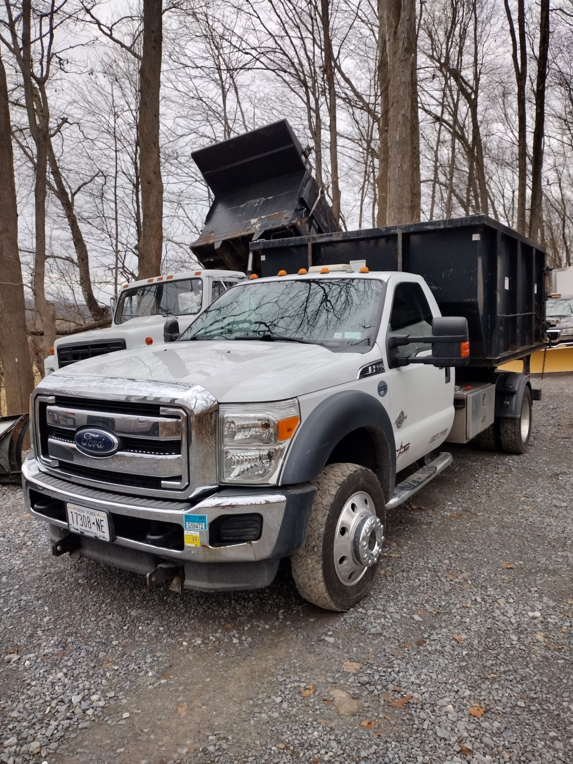 White Ford F-Series dump truck with the bed raised, parked outside with trees in the background.
