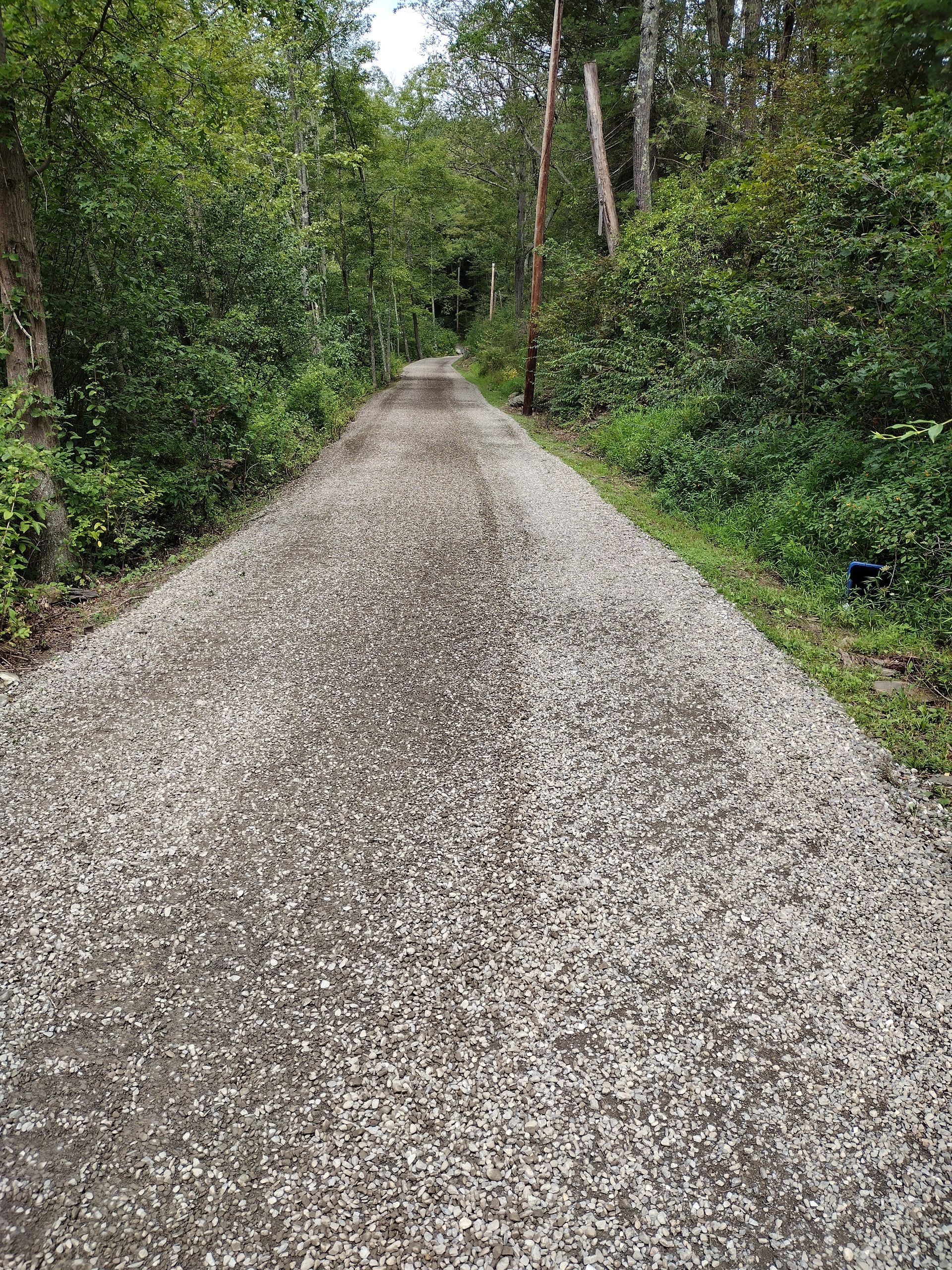 Gravel road through a forest, lined by green foliage and trees under a cloudy sky.