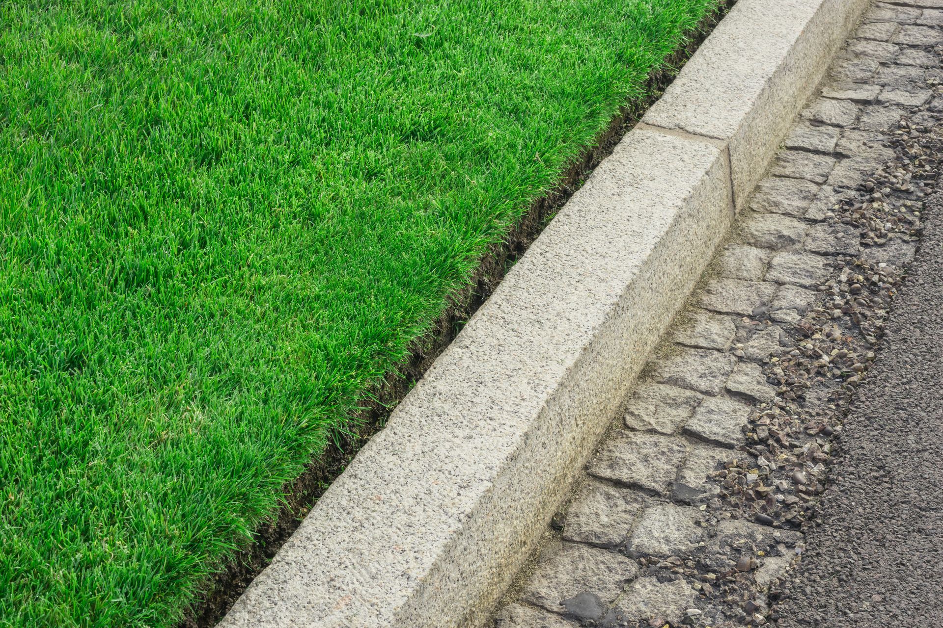 Asphalt road curves past a freshly mowed lawn, leading toward a house framed by trees and a blooming tree.