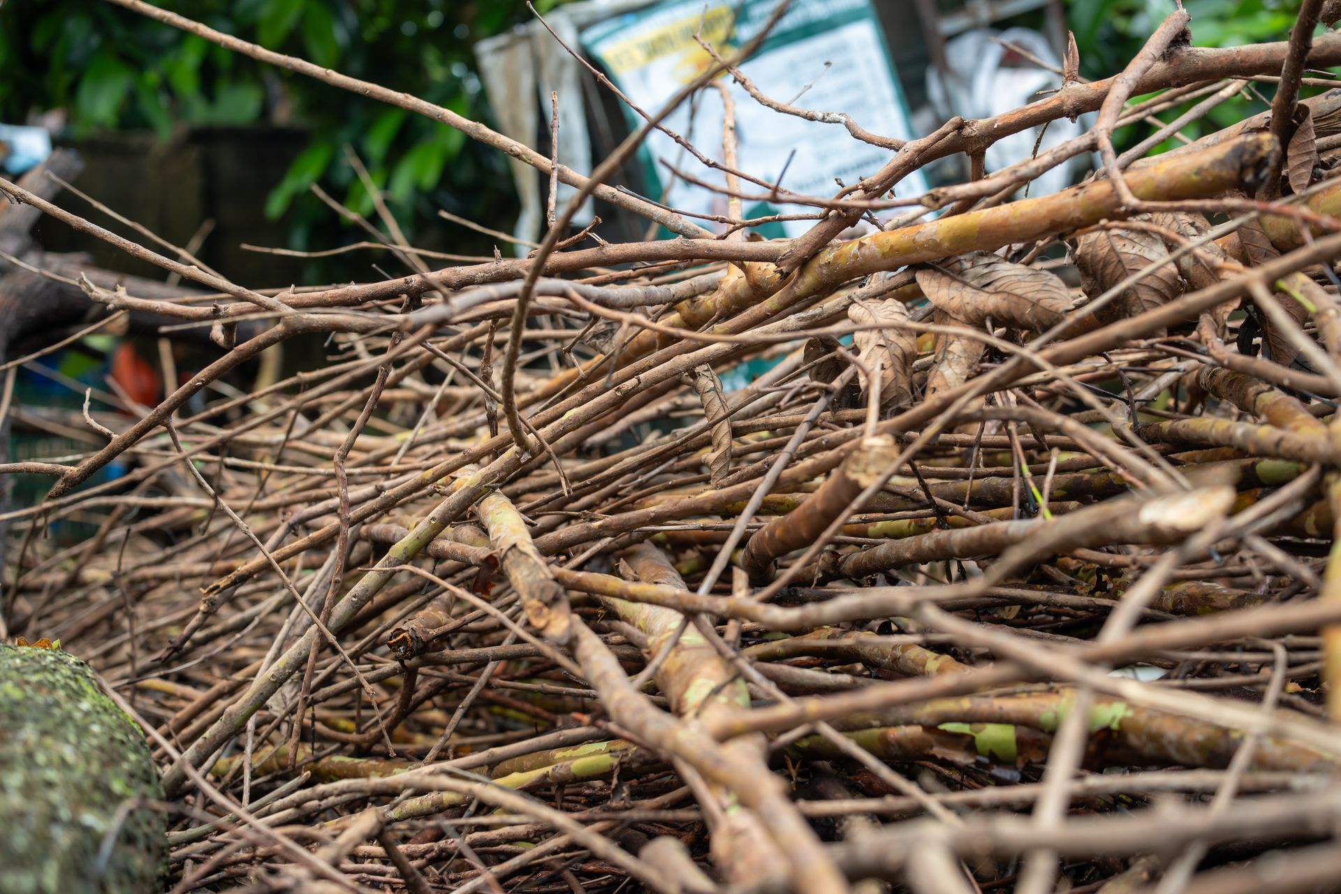 Pile of dry, brown twigs and branches, likely collected outdoors.