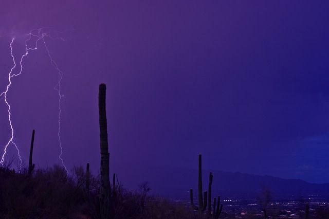 A lightning storm in the desert with a purple sky and cactus in the foreground.