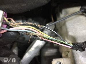 A bunch of wires are connected to a connector that says o / a