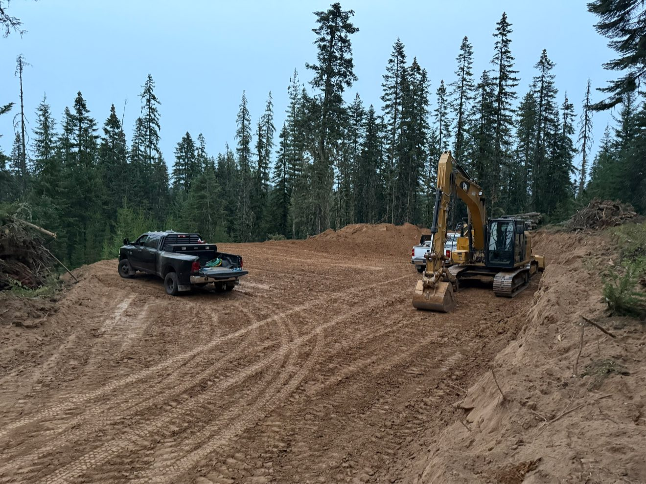 Truck and excavator on a dirt clearing in a forest, overcast sky.