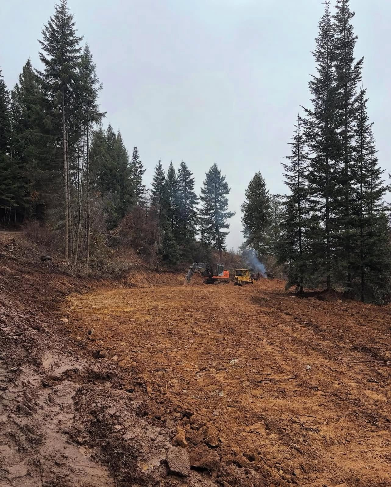Clearing on a hillside with an excavator, smoke, and tall evergreens under a cloudy sky.