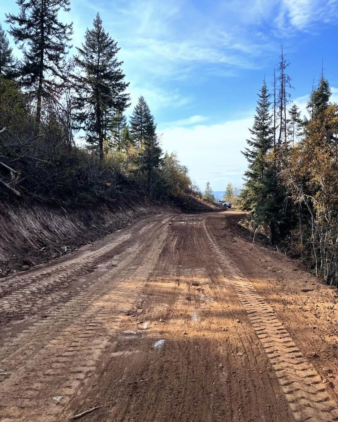 Dirt road through forest, with tire tracks. Cloudy blue sky.