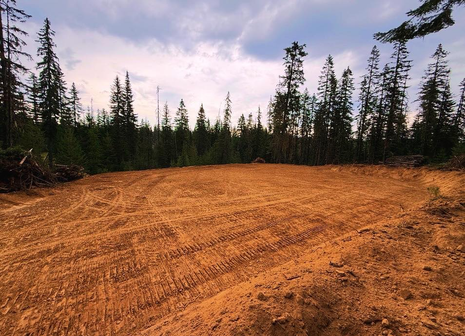 Cleared area of dirt and tire tracks in a forest, trees in background, overcast sky.
