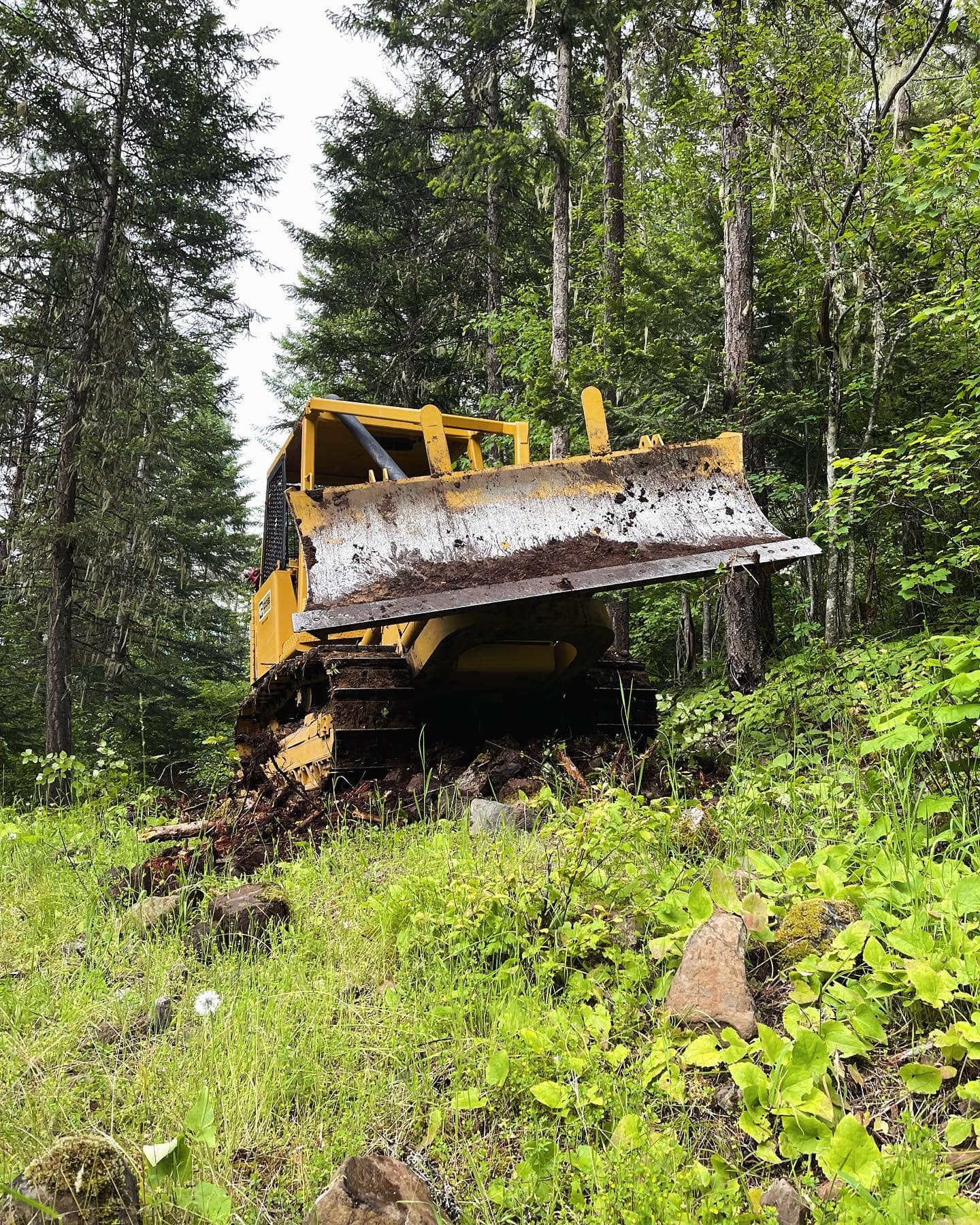 Yellow bulldozer on a hillside clearing brush and trees.