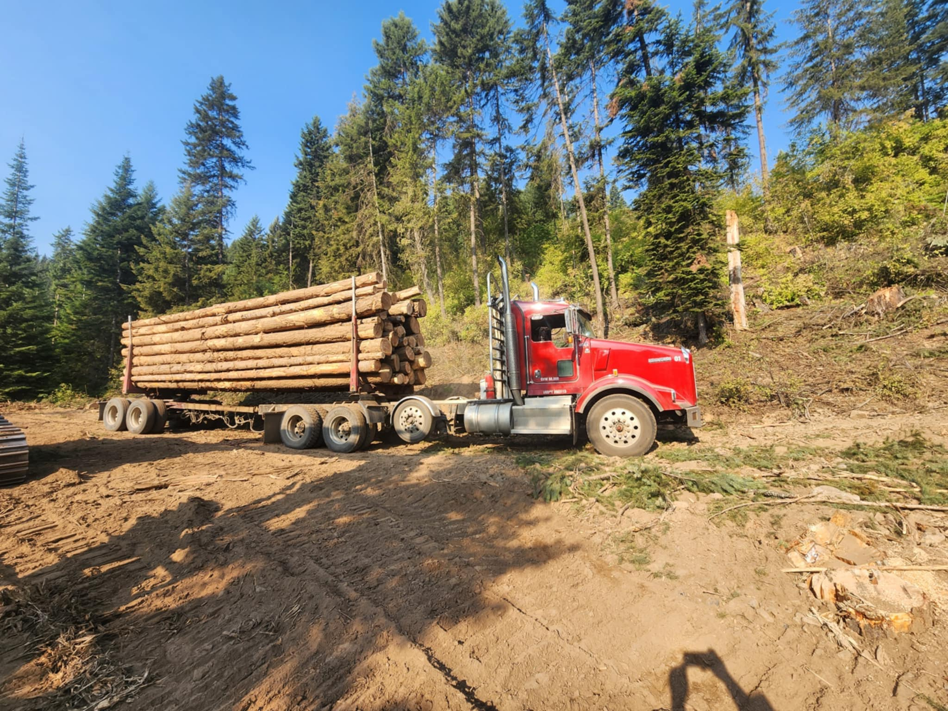 Red logging truck loaded with logs on a dirt road in a forest.