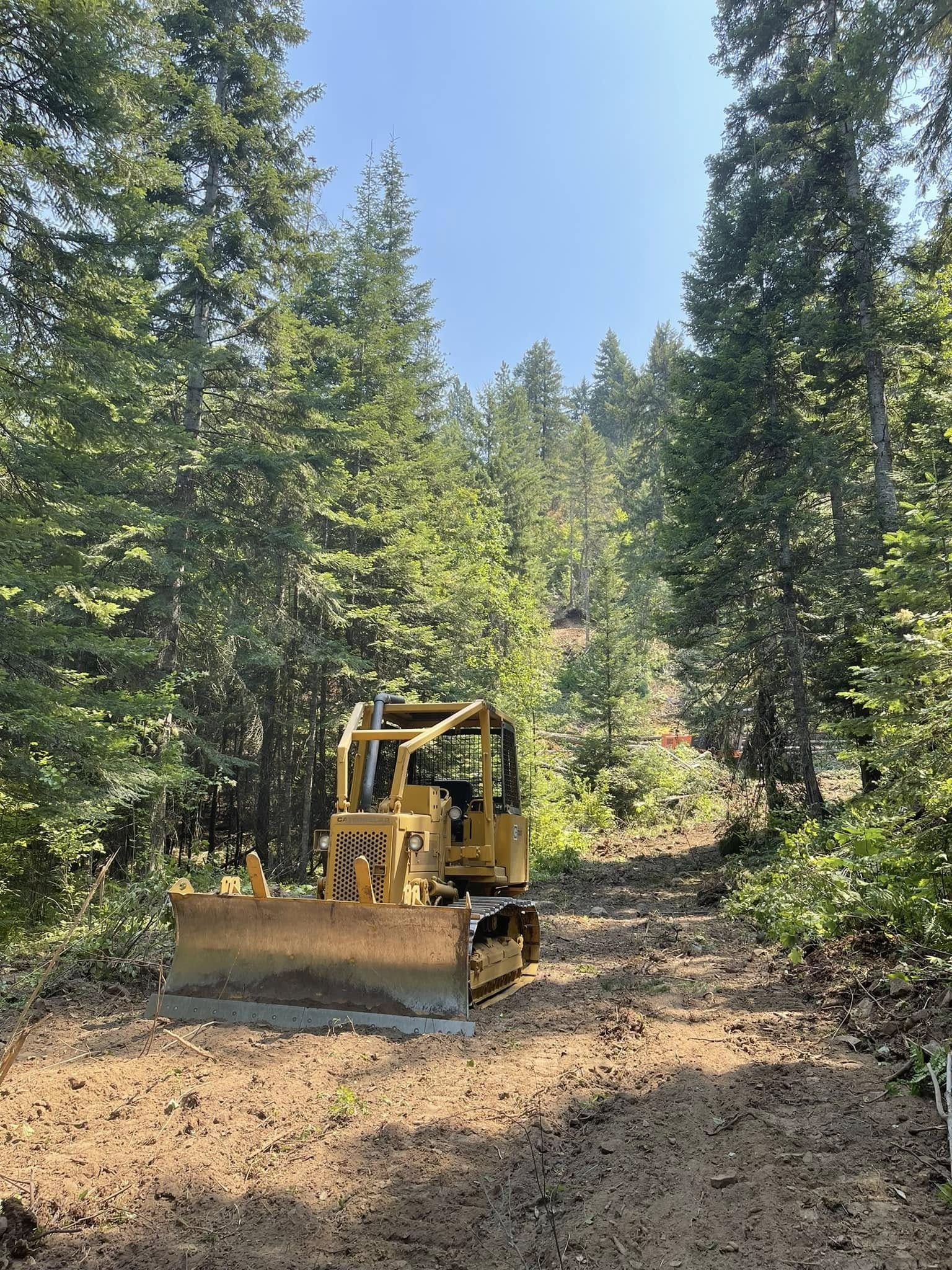 Yellow bulldozer clearing a dirt path through a forest of tall green trees under a bright blue sky.