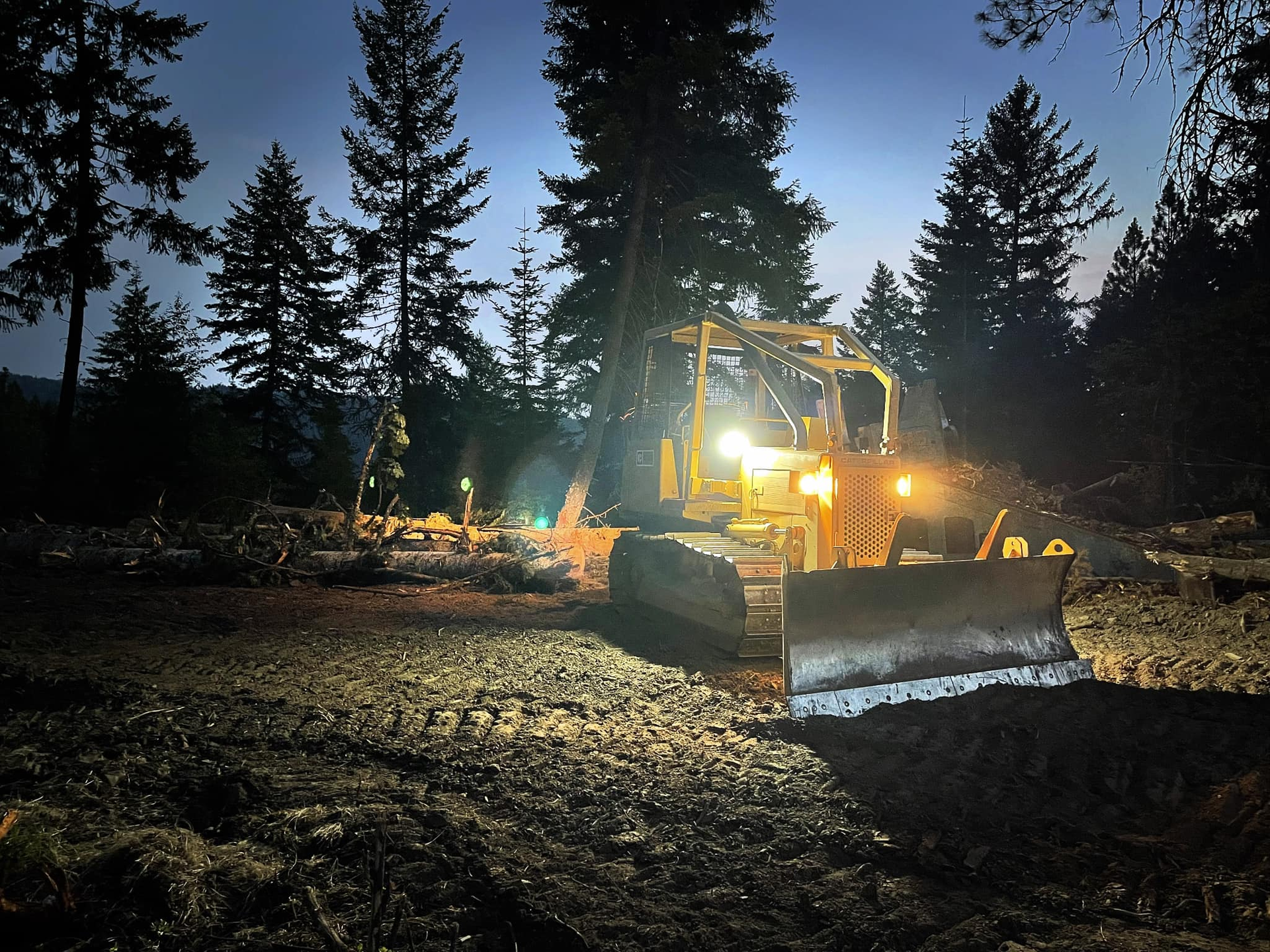 Bulldozer in a forest clearing at dusk, headlights on, with surrounding trees and dark sky.