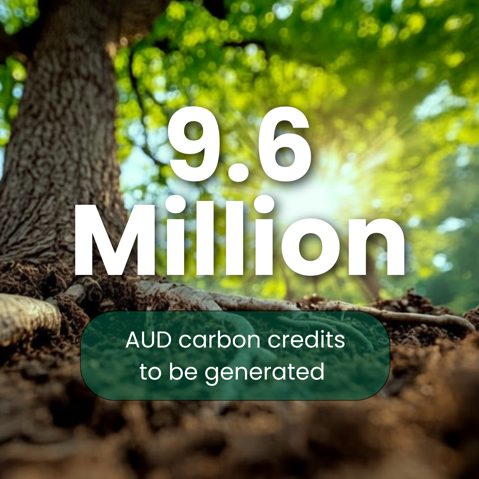 Project Caraga - 60 Million Verified Carbon Units to be generated