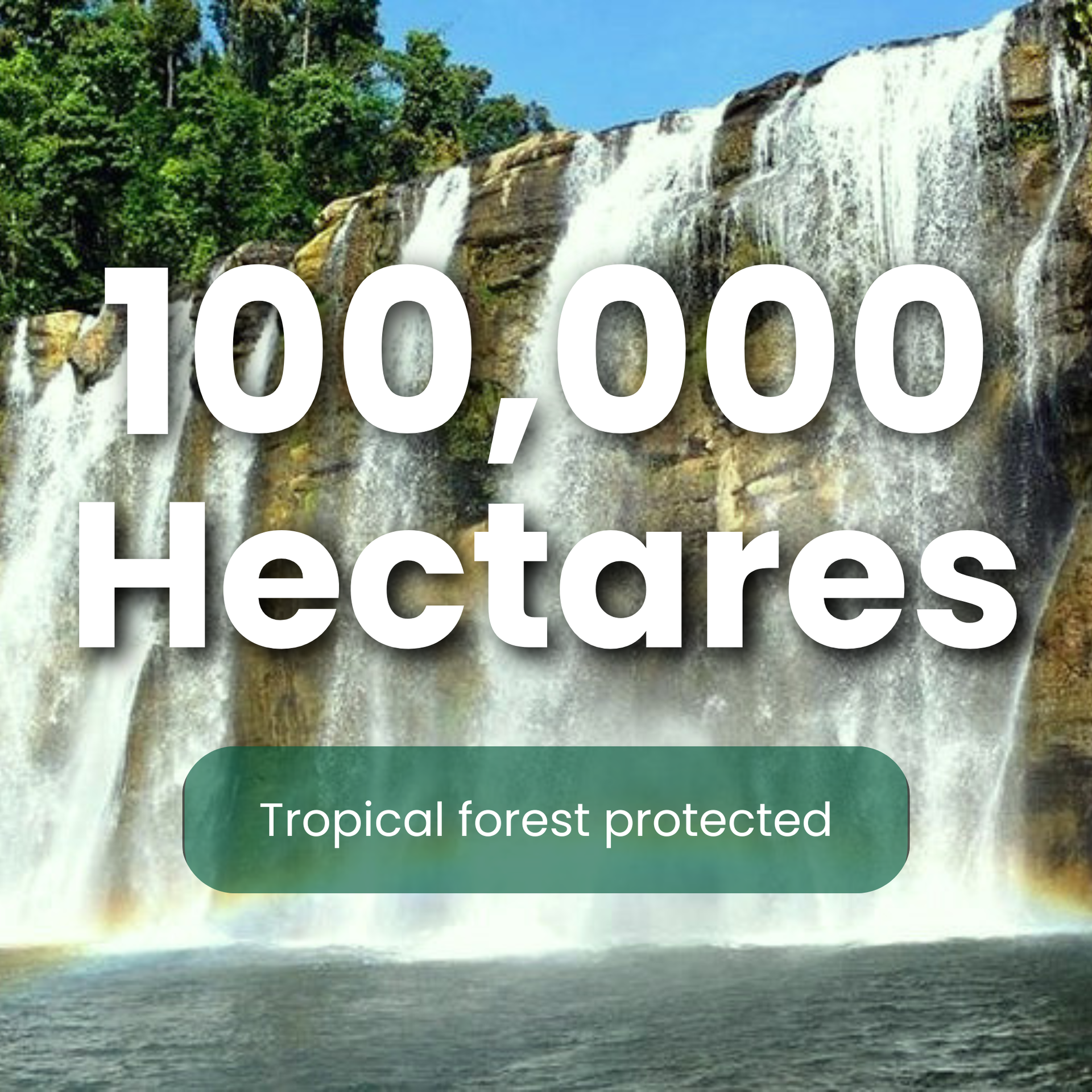 Tropical forest protected (200,000 hectares) due to Project Caraga