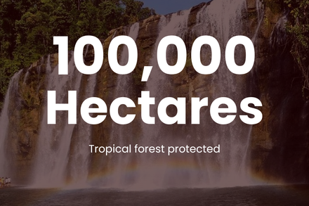 Tropical forest protected (100,000 hectares) due to Project Caraga