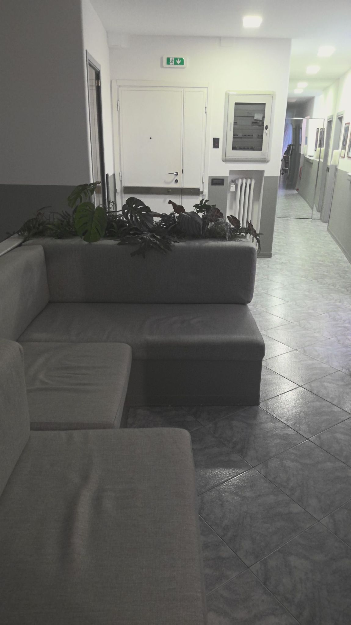 Studio oculistico Pazzaglia