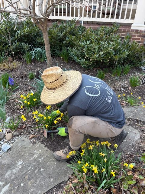 A person wearing a straw hat and gardening gloves crouches in a garden bed, tending to small yellow flowers.