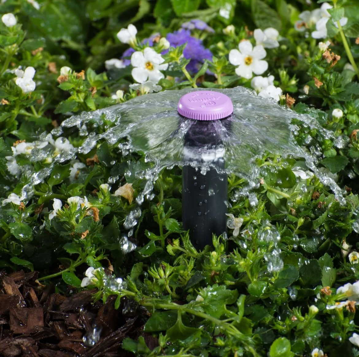 A sprinkler with a purple top watering a lush garden with white and purple flowers.