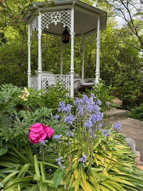 A white metal gazebo sits in a lush garden, with bright pink peonies and tall blue flowers in the foreground.