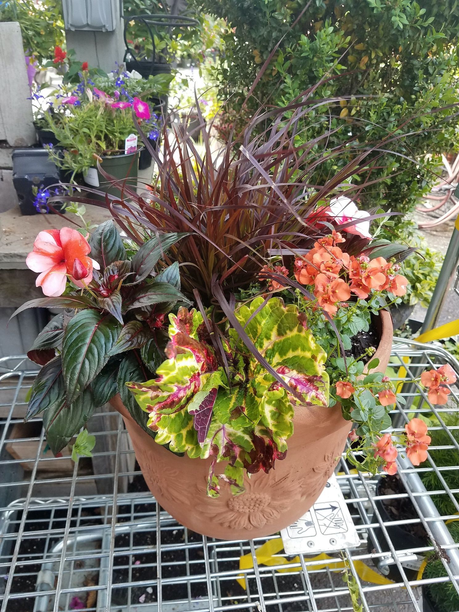 A terra-cotta pot on a wire rack contains a variety of plants, including orange flowers, purple grass, and colorful coleus.