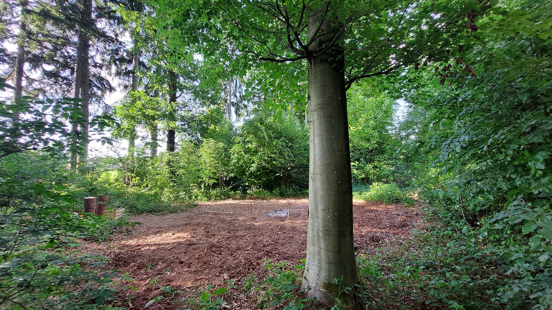 Wildnisnächte im Zürcher Oberland