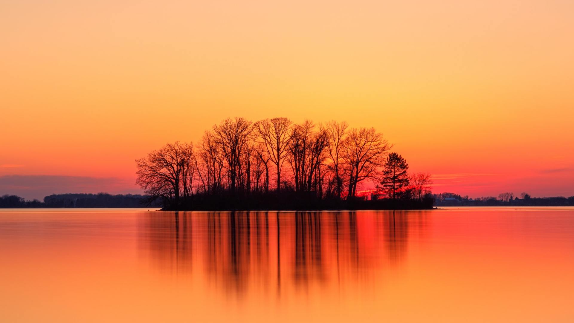 Sunset Trees Island Freedom
