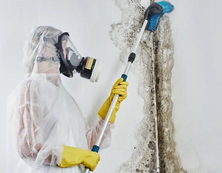 A person in a protective suit and mask uses a long-handled brush to clean mold from a white wall.