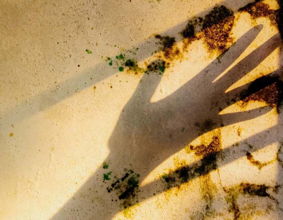 Shadow of a hand cast on a golden, textured surface with patches of dark green algae.