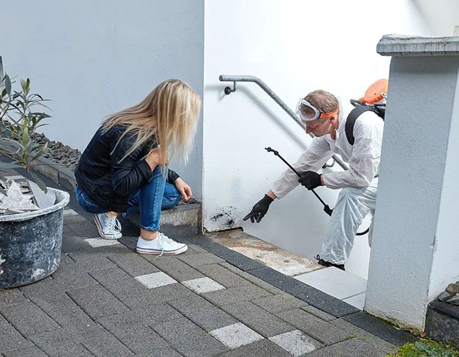 A person in protective gear sprays a pesticide near steps while another person observes the area.