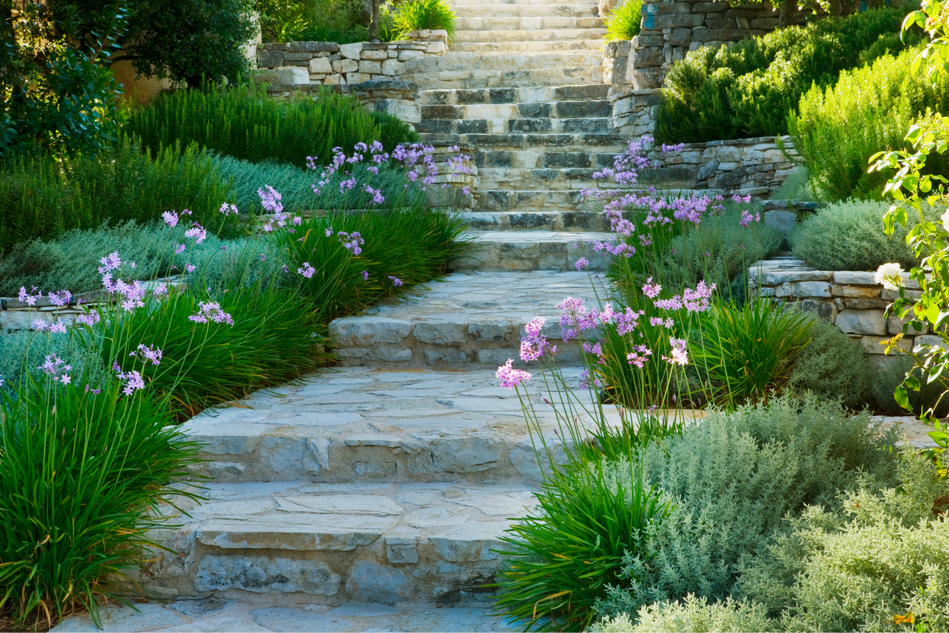 A Stone Walkway Surrounded by Flowers and Plants in A Garden | Clinton, OH | Flexlawn & Landscape, LTD