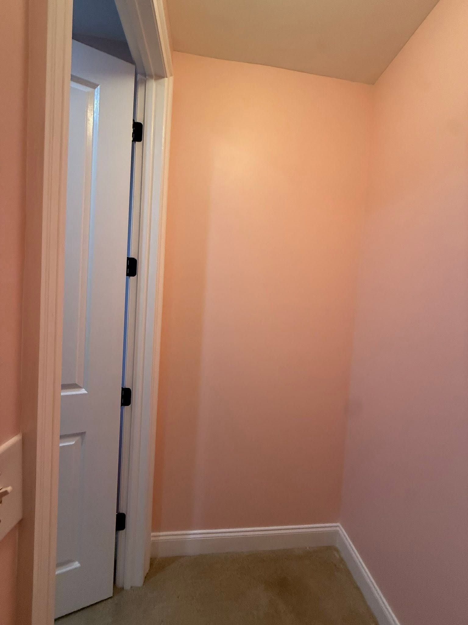 Empty peach-painted hallway corner with an open white door and beige carpet.
