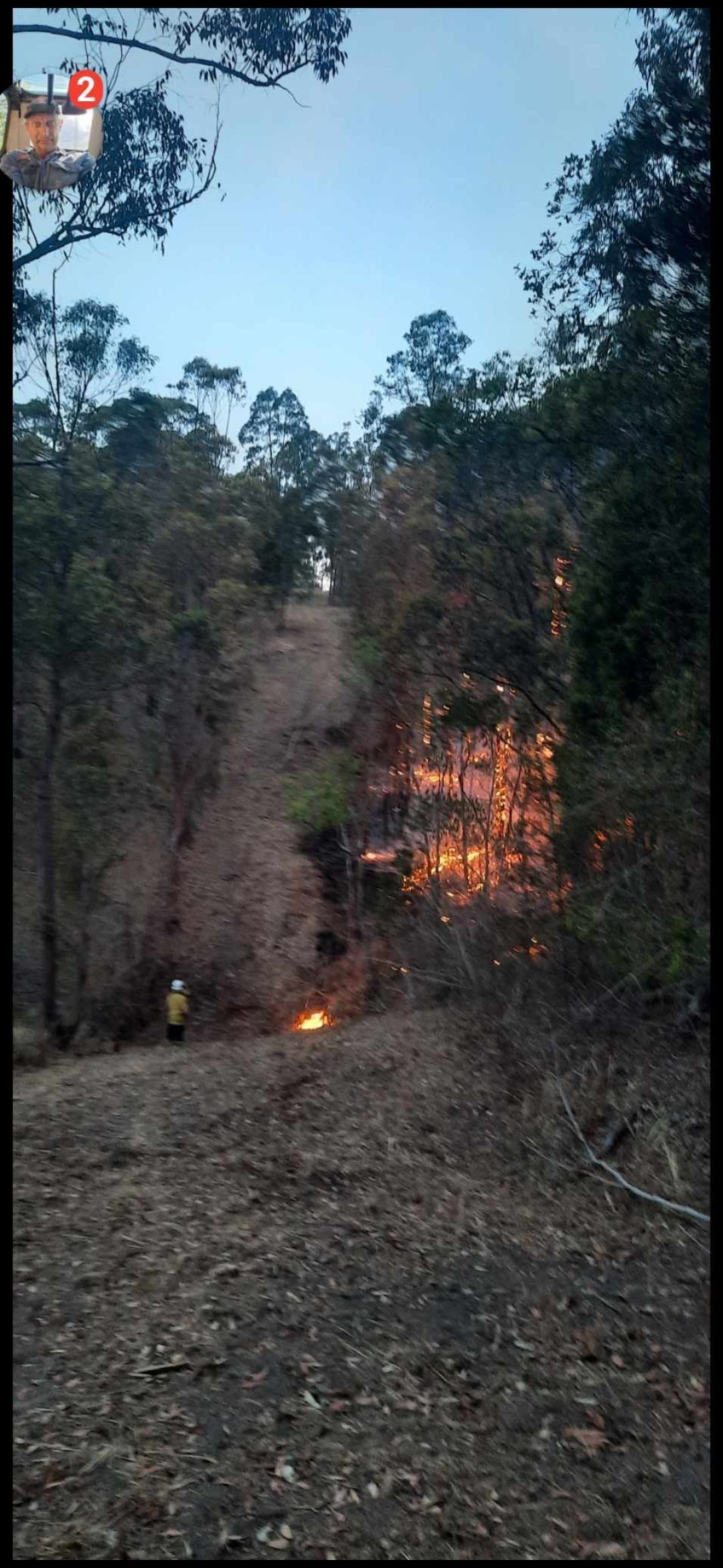 Fire Break in the trees — CHT Excavation and Hire In Wherrol Flat NSW