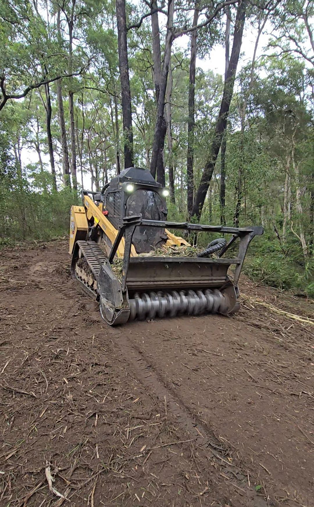 Heavy Machinery Cutting Through Vegetation — CHT Excavation and Hire In Wherrol Flat NSW