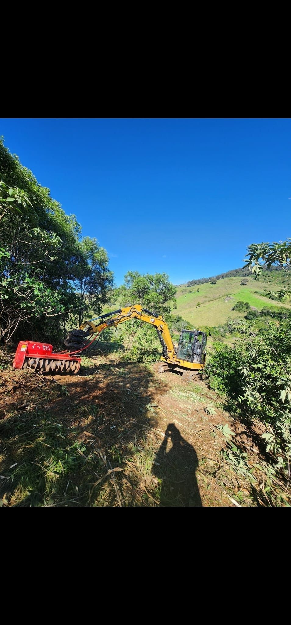 Vegetation Landscaping Forest — CHT Excavation and Hire In Wherrol Flat NSW