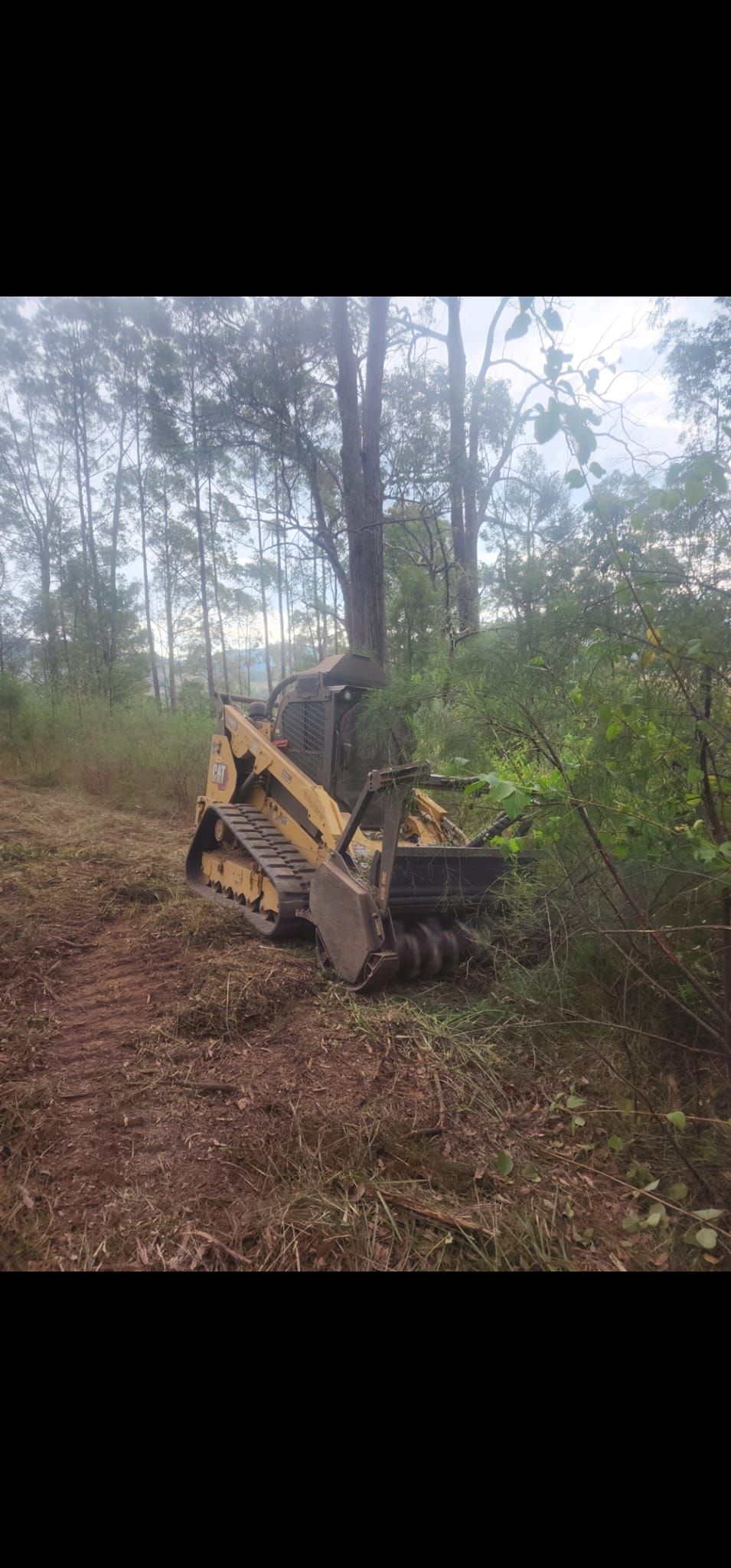 Land Clearing The Forest Area — CHT Excavation and Hire In Wherrol Flat NSW