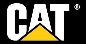 A cat logo with a yellow triangle on a black background