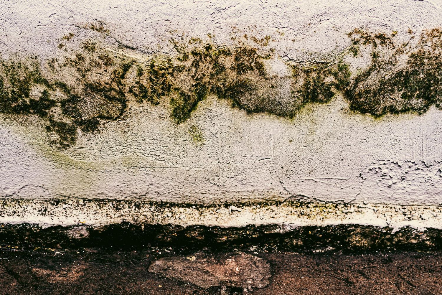 A close up of a concrete wall with green mold growing on it.