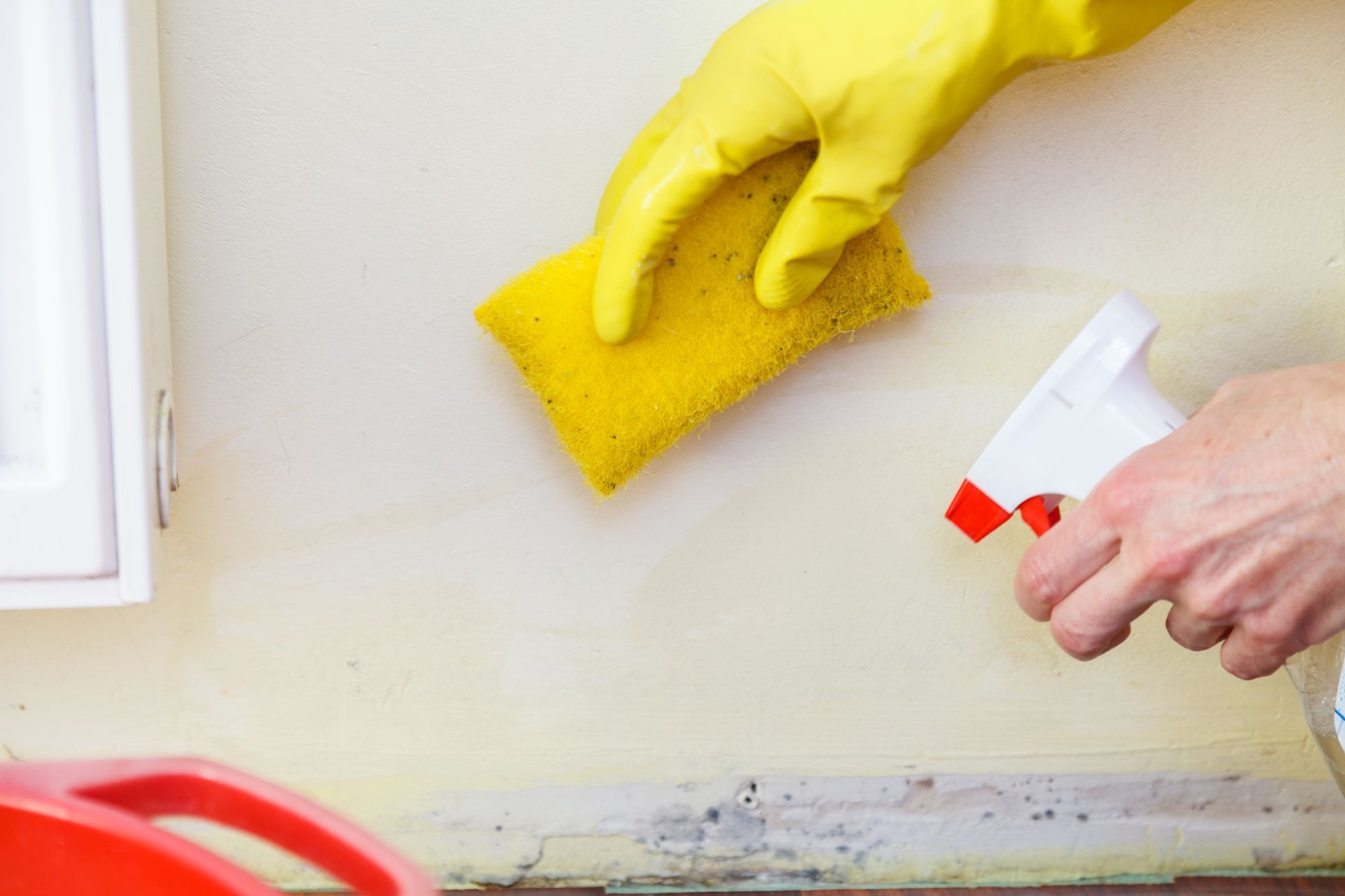 A person is cleaning a wall with a sponge and a spray bottle.