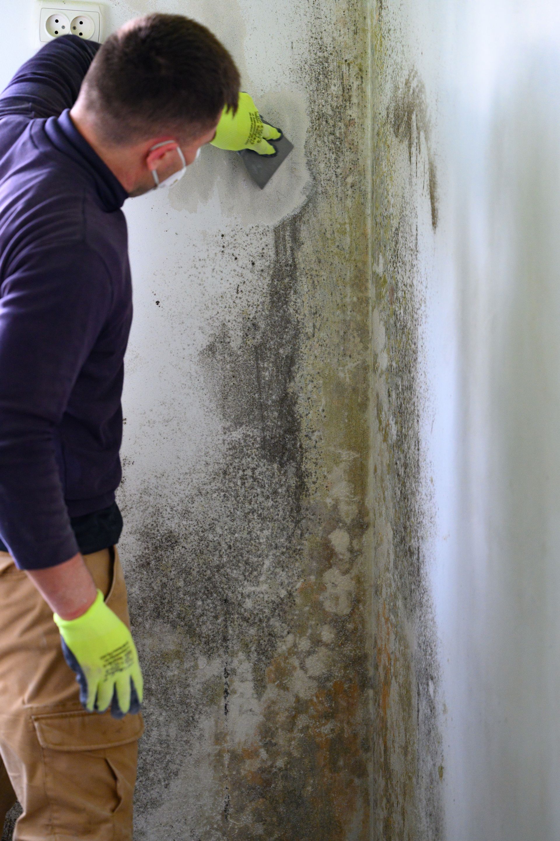 A man is cleaning a wall with a spatula.