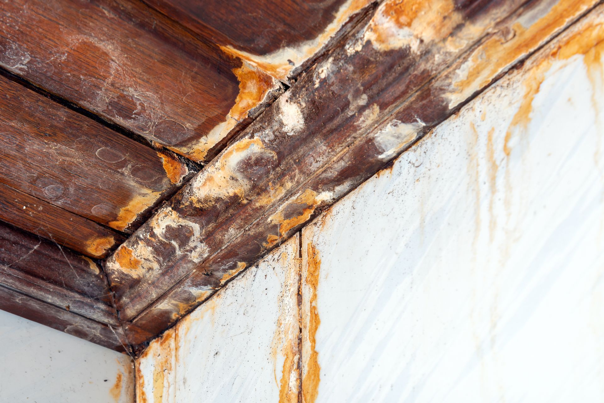 A close up of a rusty corner of a wooden wall.