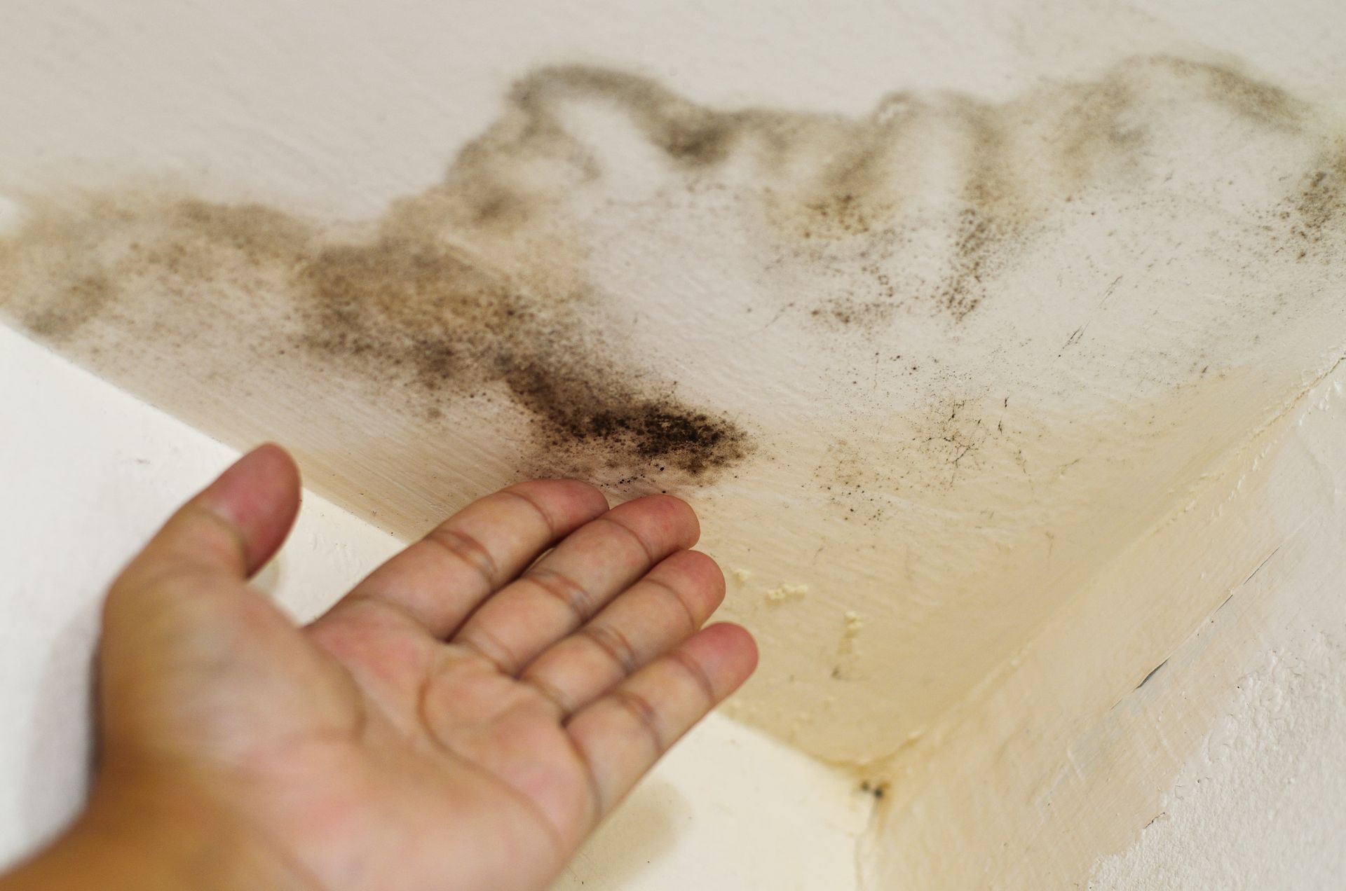 A person is touching a corner of a wall with a hand.